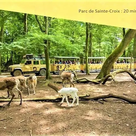 Lejlighed De 2 A 6 Personnes - Le Street'art - Centre - Gare A 500m - A 20 Minutes De Center Parc Et Parc Animalier Sainte-croix - Netflix - Wifi Sarrebourg